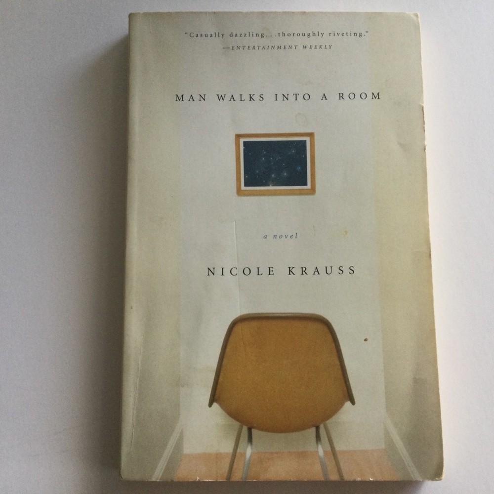 Man Walks Into A Room Novel Nicloe Kraus
